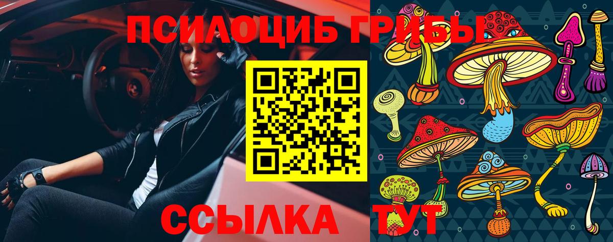 Псилоцибиновые грибы ЛСД  где продают наркотики  Псилоцибиновые грибы Cubensis  Кинель  Вход с VPN 